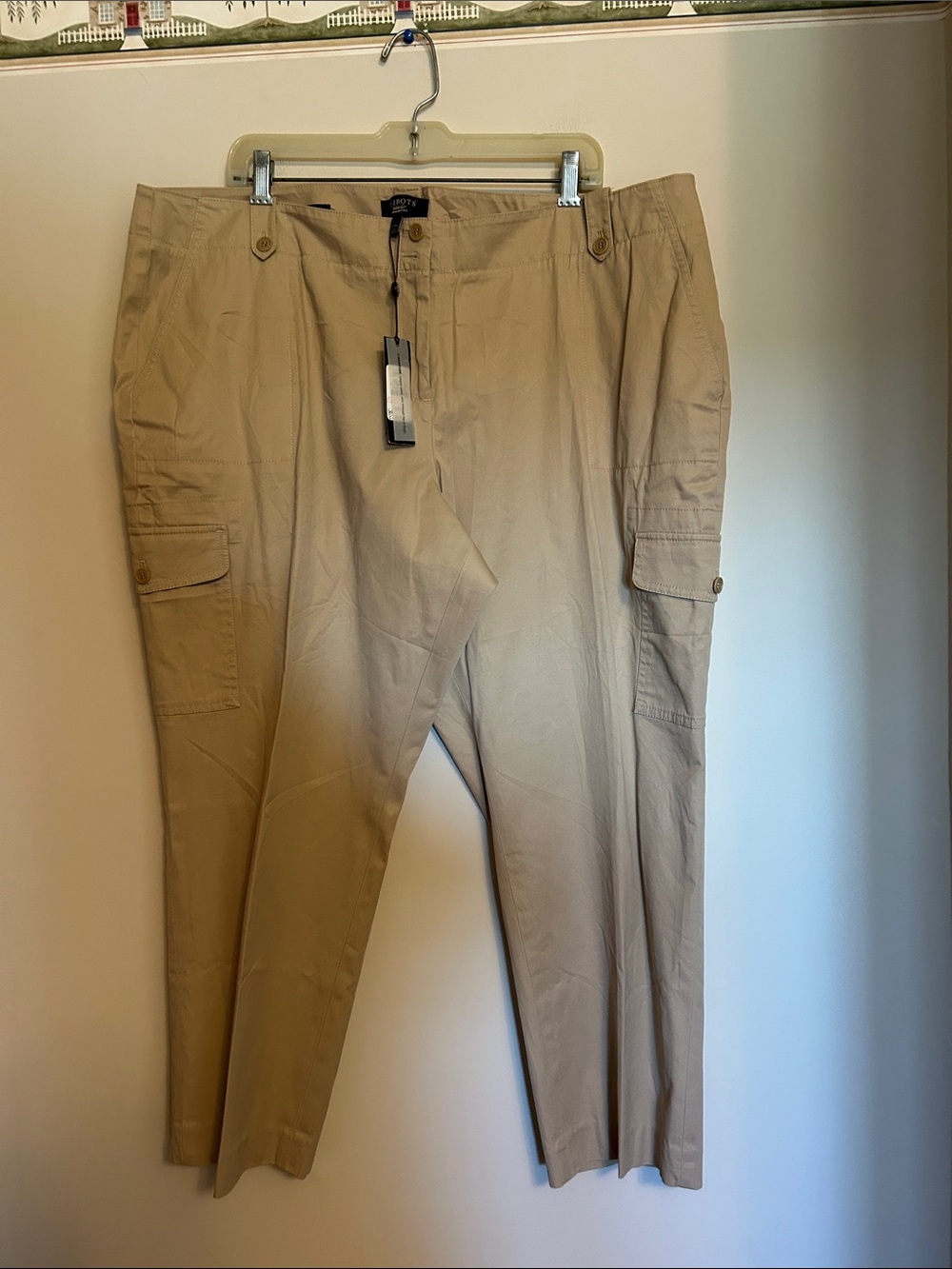 Talbots tan colour 98% cotton front zip pants size 22WP new with tags